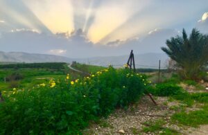 The Jordan Valley (Photo by Andrea Levin)