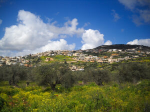 Image of meadow and town