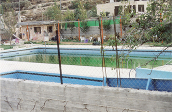 Palestinian swimming pool